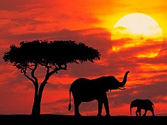 Mother and Baby Silhouetted at Sunrise, Kenya